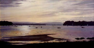 Brownsea Island