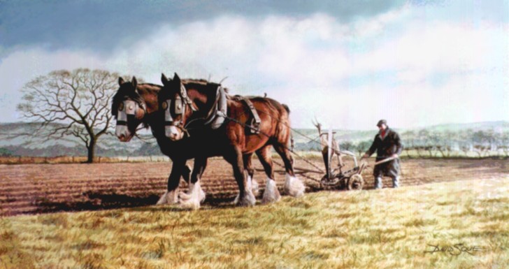 The Plough Horses