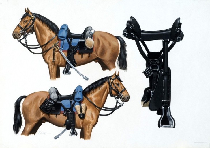 U.S. Cavalry Horse